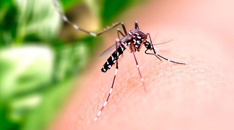 Levantamento do índice rápido do Aedes aegypti aponta médio risco para a proliferação do mosquito em Guaxupé