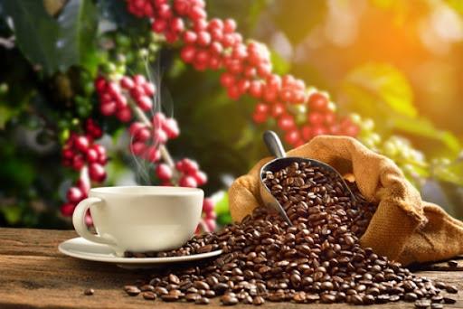 Crise na cafeicultura: Café deve subir até 40% nos supermercados até mês que vem, aponta Abic