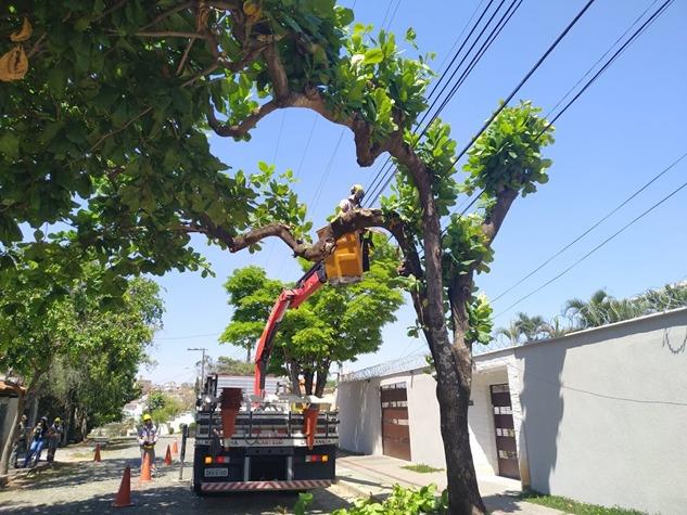 Cemig alerta: podas de árvores devem ser feitas com máxima atenção para evitar acidentes com a rede elétrica 