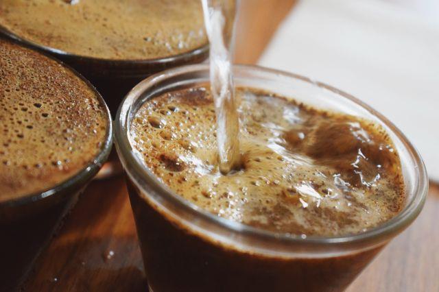 Cafeicultores cooperados disputam o título de melhor café da Cooxupé