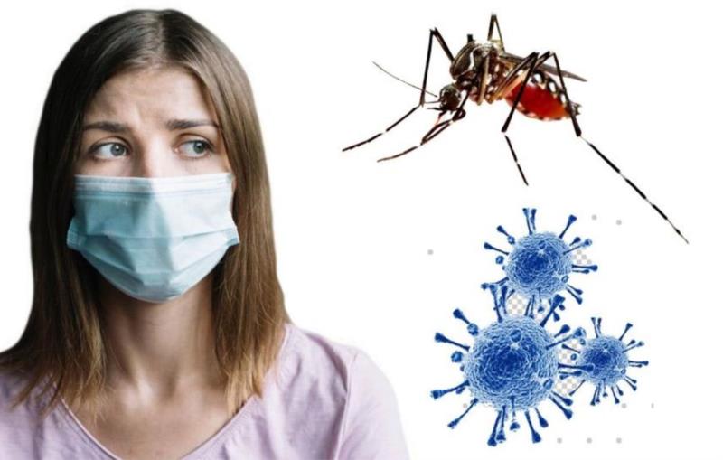 Mais de 470 casos de dengue foram notificados em Guaxupé no mês de junho