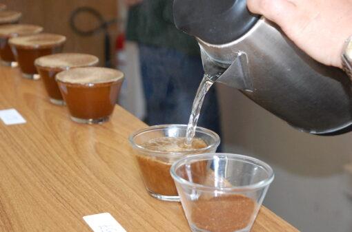 Programa Especialíssimo da Cooxupé bate recorde de recebimento de café em 2022