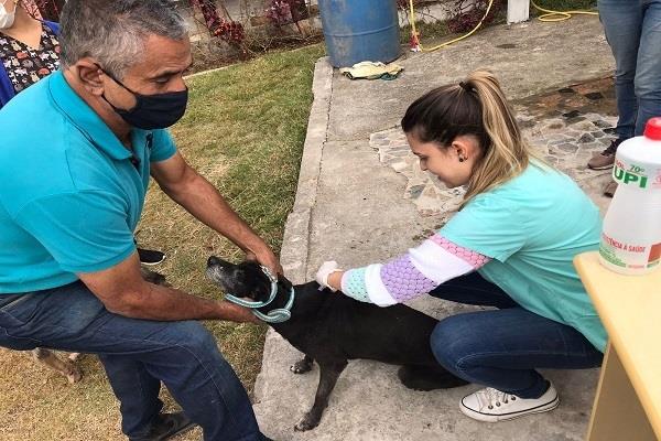 Guaxupé e cidades da região receberão microchips para identificação da população de cães e gatos 