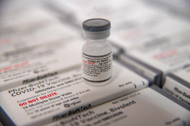 Imunização contra covid com vacinas bivalentes começa na segunda-feira 