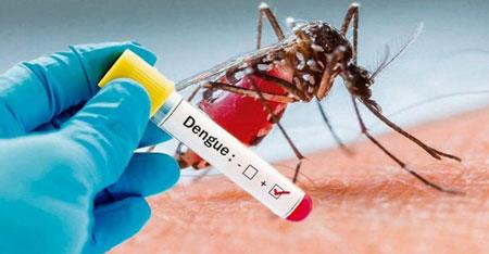 Minas pode enfrentar uma das piores epidemias de dengue no Estado em 2023