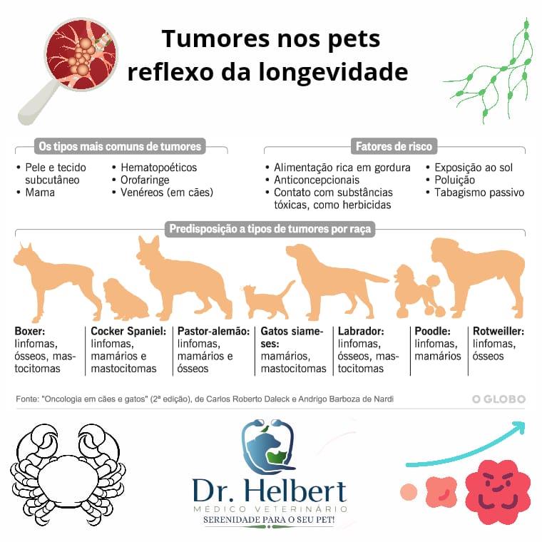 Tumores caninos e felinos, reflexo da longevidade