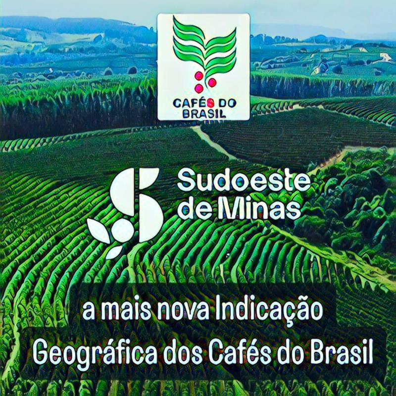Sudoeste de Minas é a quinta região produtora de café do estado a receber Indicação Geográfica (IG)