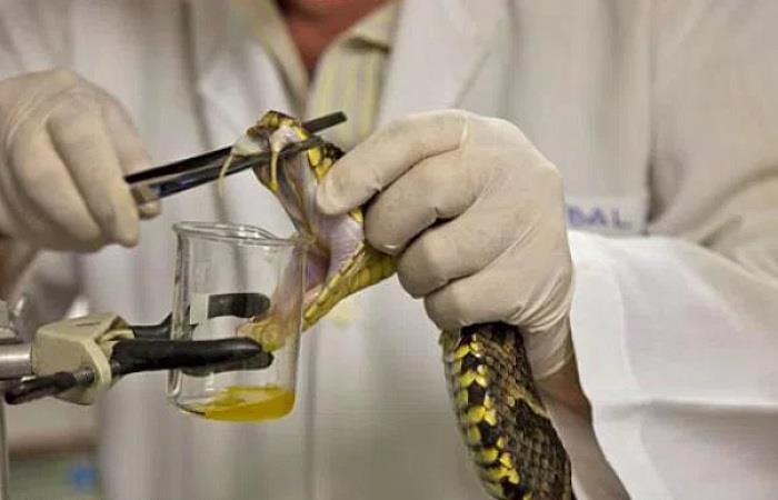 Minas vai voltar a produzir soro contra cobra e escorpião a partir de outubro
