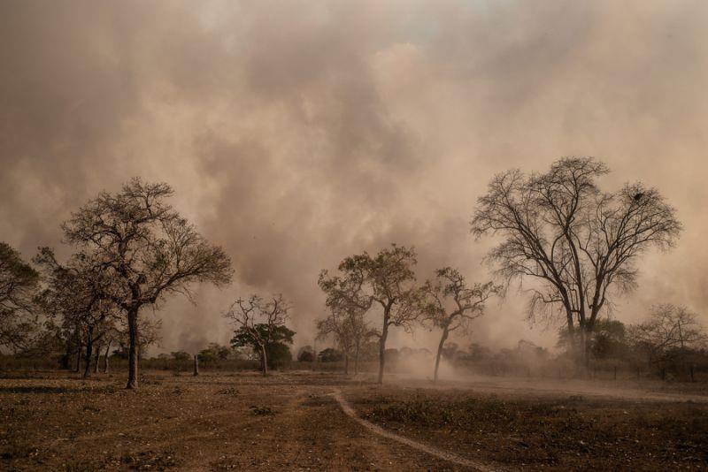 Fumaça do Pantanal chega ao Sul de Minas neste domingo