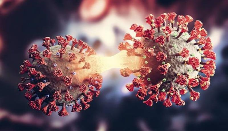 Éris, variante mutante EG-5 do coronavírus, é detectada pela 1ª vez no Brasil