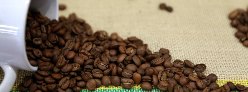 BDMG libera crédito de R$ 60 milhões para o setor do café na Safra 2023/2024