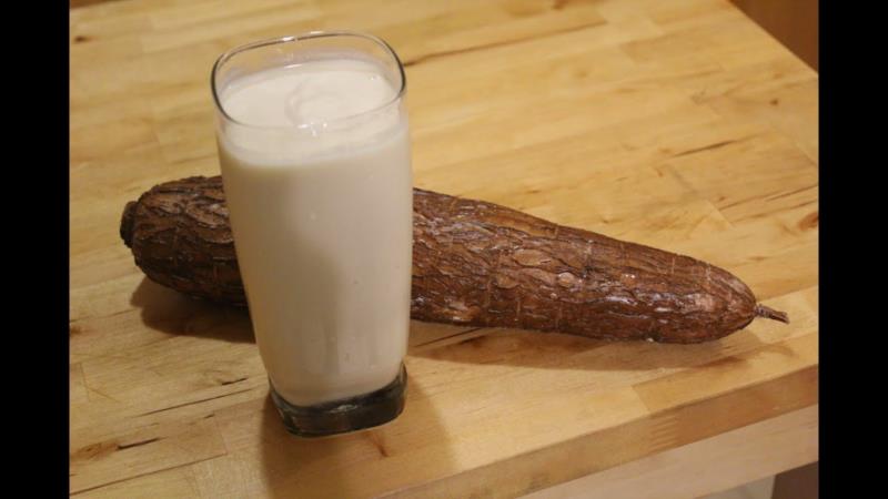 Intolerância à lactose: UFLA desenvolve bebida fermentada à base de mandioca