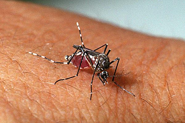 Governo confirma mais uma morte por dengue em Minas Gerais