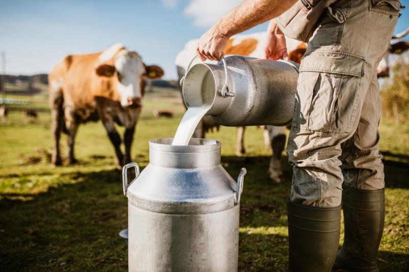 Preço ao produtor de leite chegou a ‘fundo do poço’ e deve reagir, diz Emater-MG