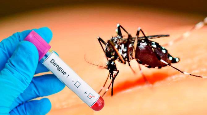 Metade das mortes por dengue em Minas é de 'gente saudável'