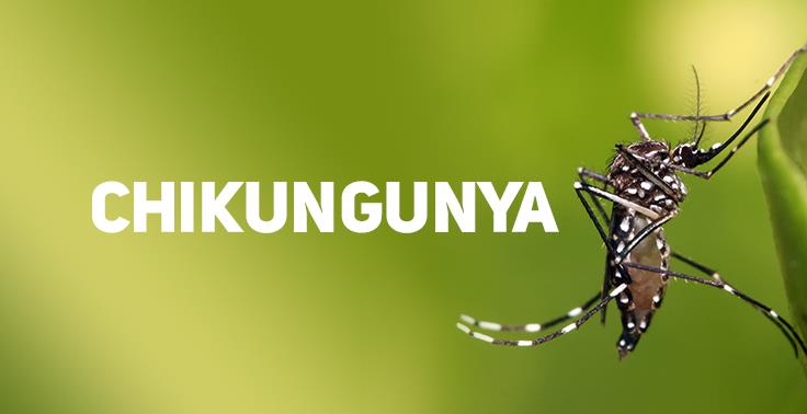 Sul de Minas tem 18 casos confirmados de chikungunya e 1º registro suspeito de zika