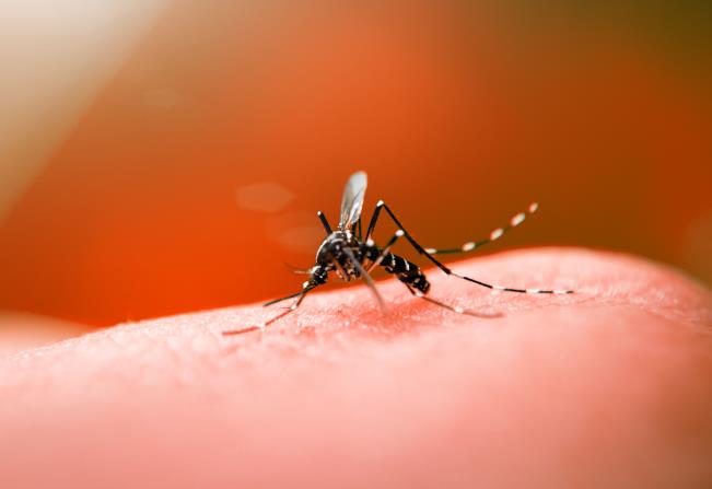 Sul de Minas chega a mais de 24 mil casos confirmados de Dengue 