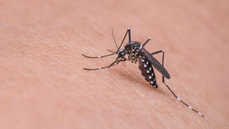 Prefeitura de Passos decreta emergência em saúde pública após escalada de casos de dengue