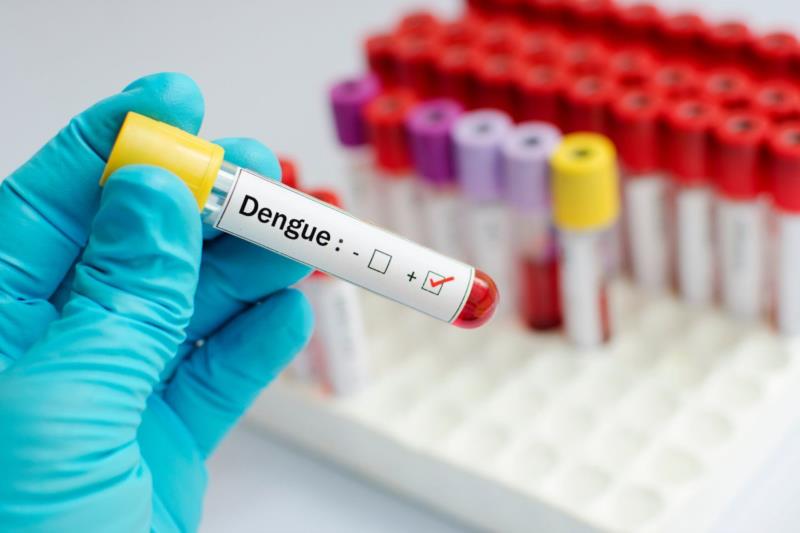 Quinta morte por dengue é confirmada no Sul de Minas 