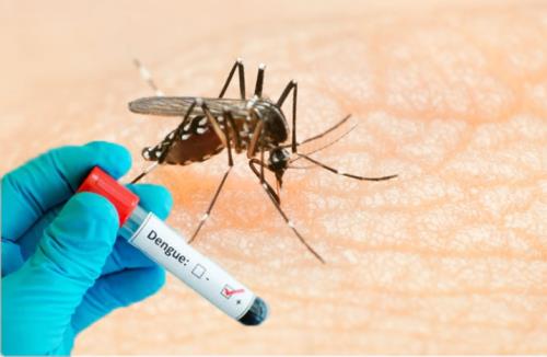 Guaxupé registra o primeiro óbito por dengue 