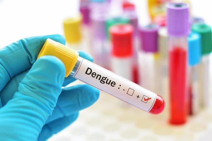 Sul de Minas registra mais de 9 mil casos de dengue e 128 mortes pela doença 