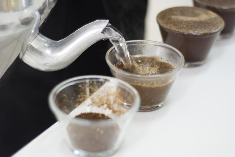 Cooxupé revela melhores cafés da safra 2020