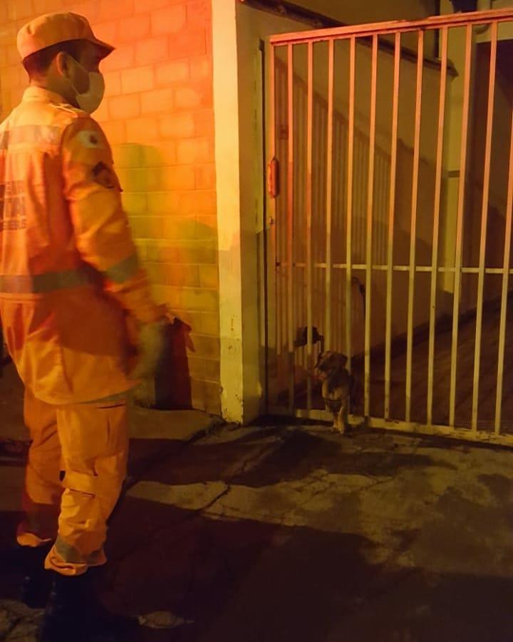 Em Guaxupé, Bombeiros resgatam cão preso entre grades 